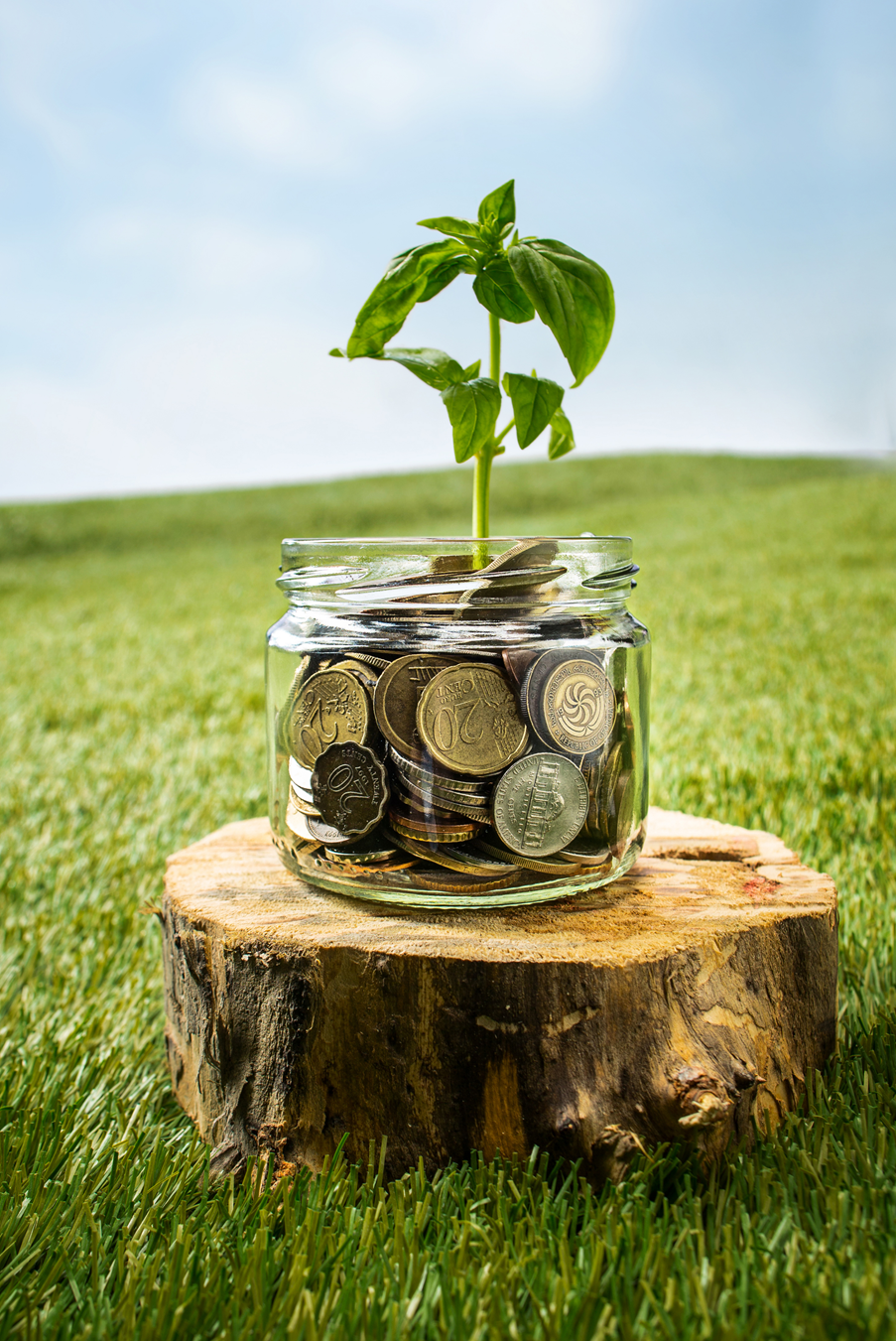 Welfare Benefits and Pension